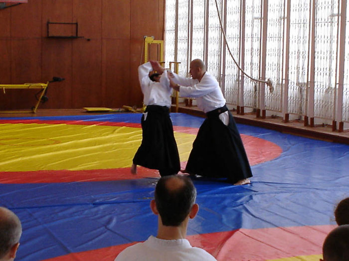 Семинар Айкидо Айкикай Сочи 2005 - занятия Айкидо Курибаяси Т.